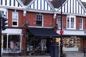 Commercial investment opportunity in Haslemere