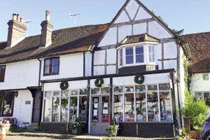 Freehold investment opportunity in Shere Surrey