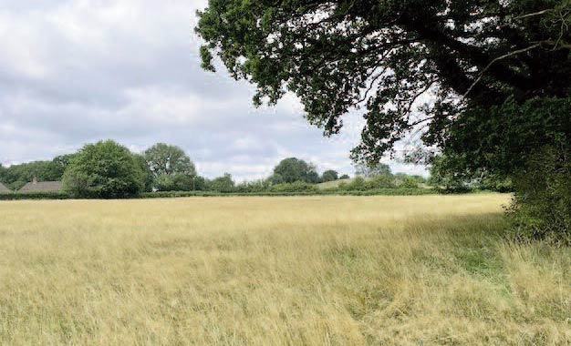 land and outbuildings for sale freehold in Billinghurst